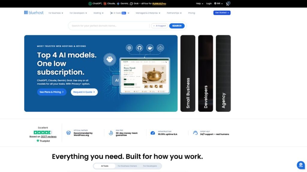 Bluehost Hosting screenshot